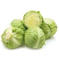 Cabbage