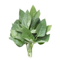 Cowpea
